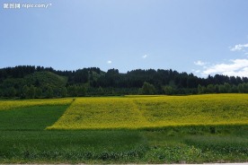 青海风光