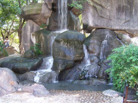 风景 公园 自然风光 大象 美容美体