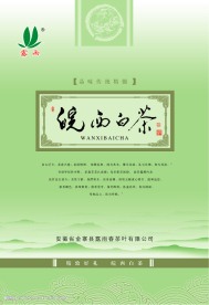 皖西白茶