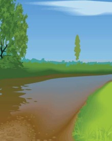 风景