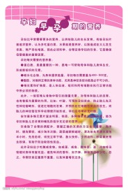 孕妇早期营养