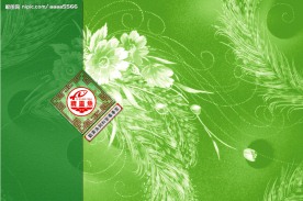 精灵鱼包装盒设计A款