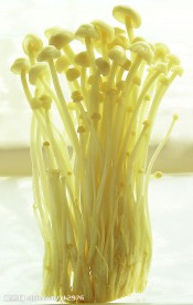 金针菇