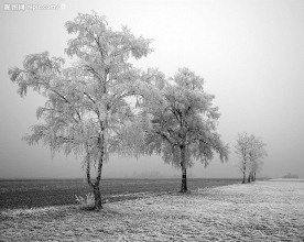 大雪过后