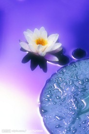 幻彩莲花
