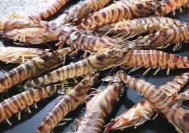 虾类食品