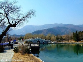 古树小桥流水远山
