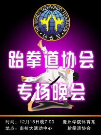 晚会海报