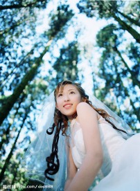 春天之婚纱