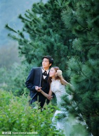 春天之婚纱
