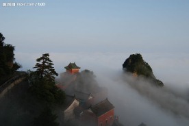 金顶
