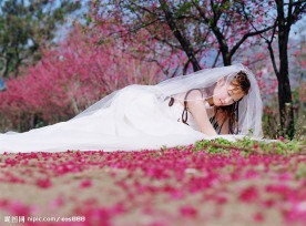春天之婚纱