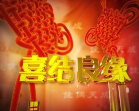 婚庆片头 视频素材