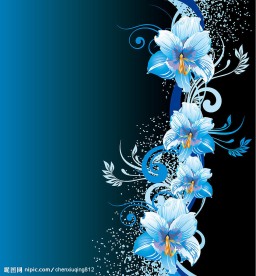 时尚花纹矢量图