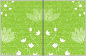 韩国矢量花纹移门门艺玻璃印花