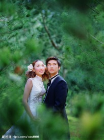 春天之婚纱