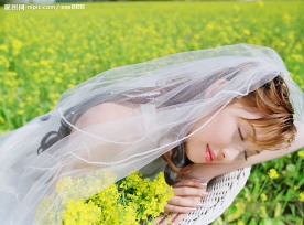 春天之婚纱