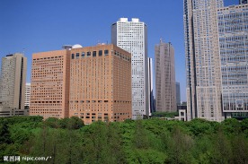 纽约风景