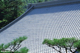纽约建筑
