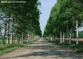 乡间小路