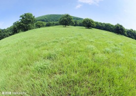 草原风景