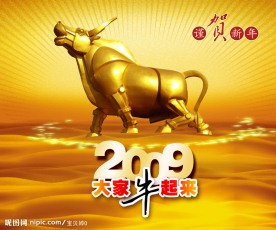 牛年