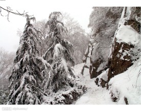 南京紫金山雪韵