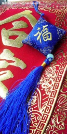 中华节