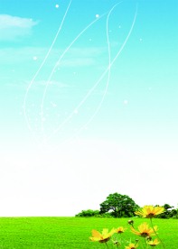 制度背景3