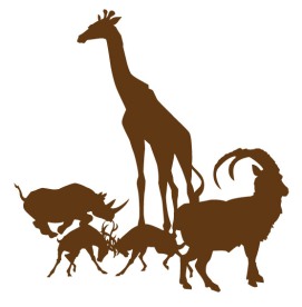 长颈鹿