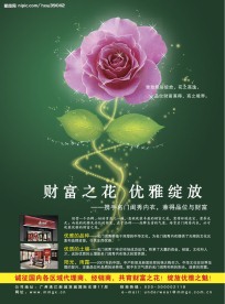 海报广告