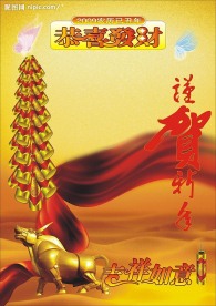 2009年日历封面
