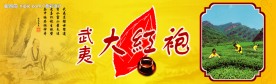 茶叶广告