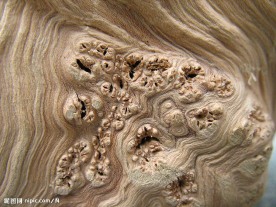 木纹