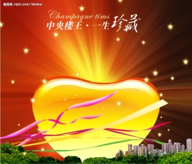 中央楼王房地产广告
