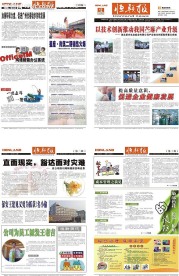 企业报纸模板