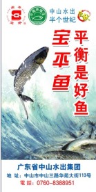 水出广告宝平鱼