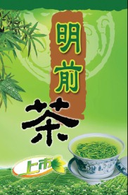 明前茶上市海报 茶叶店海报招贴广告设计模板