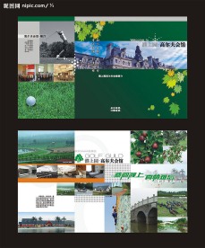 高尔夫宣传页