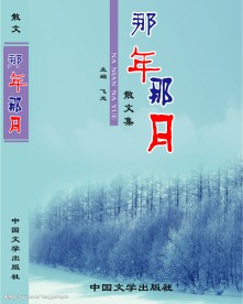 书籍包装