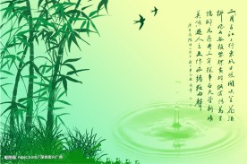竹子风景