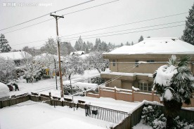 加拿大雪景1
