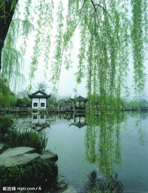 西湖美景之二