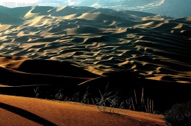 巴丹吉林大沙漠