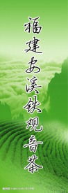 福建安溪铁观音茶
