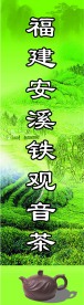 福建安溪铁观音茶