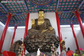 庆云金山寺大雄宝殿 释迦牟尼佛