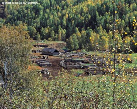 乡村风景