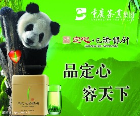 茶叶海报