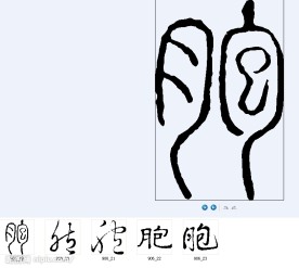 胞 书法字